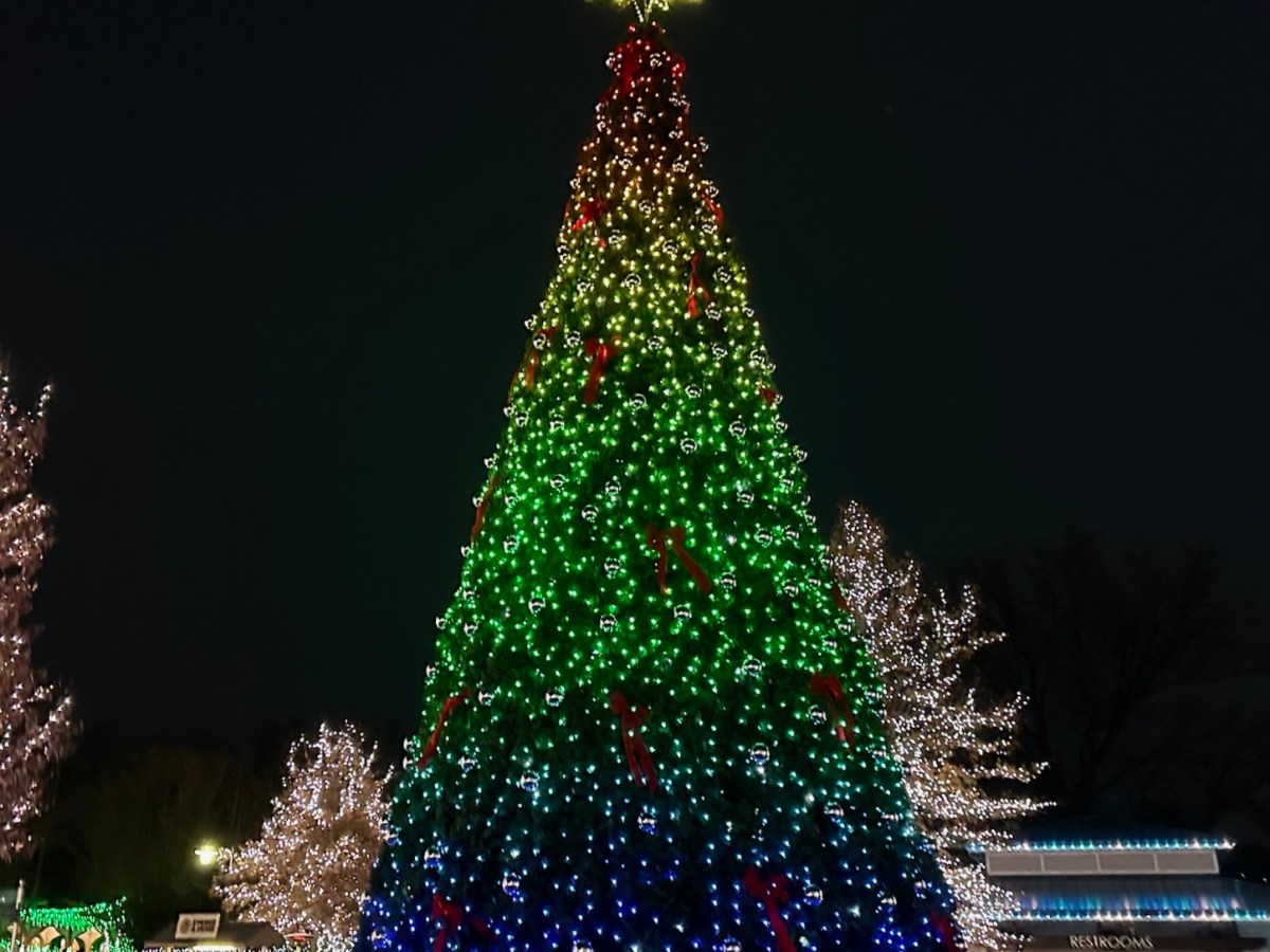 My Experience at the Cincinnati Zoo’s Festival of Lights&nbsp;2024