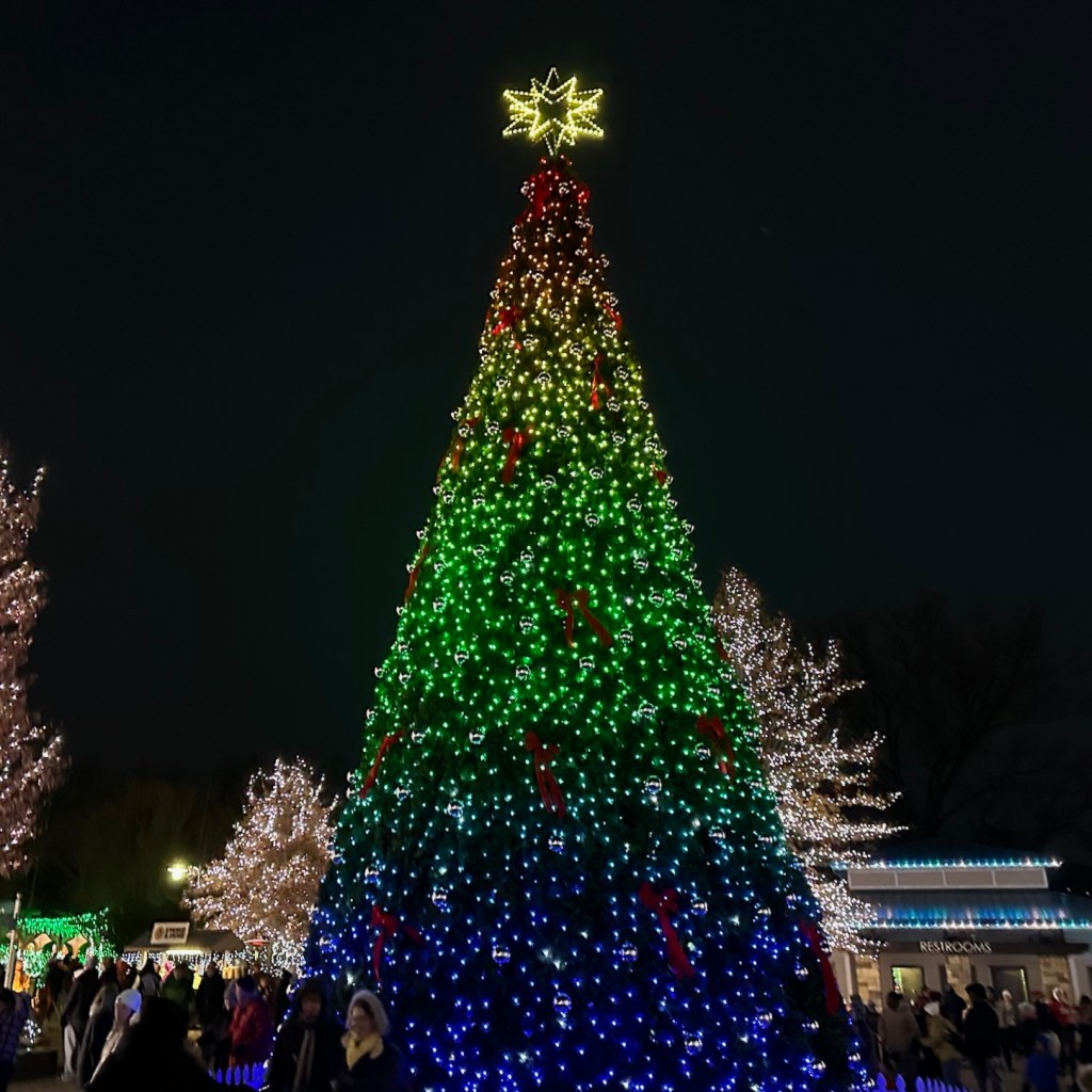 My Experience at the Cincinnati Zoo’s Festival of Lights&nbsp;2024